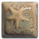 WC-164 Mint Coffee Glaze