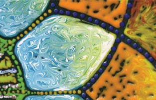 Close up of Craig Rhodes' Wheel