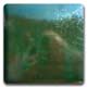 Spectrum 855 Emerald Glaze