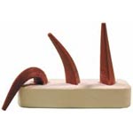 Δ Cones & Pyrometric Bars Δ