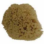 Natural Sponge Sea Wool