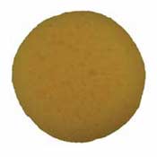 Synthetic Hydra Sponge Basic