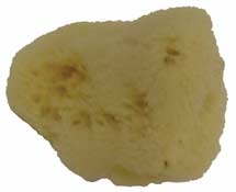 Natural Sponge Silk