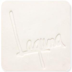 WC 437 Frost 6 Porcelain Cone 5 Mid Range Ceramic Clay